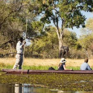 Mokoro safari during a Botswana Safari