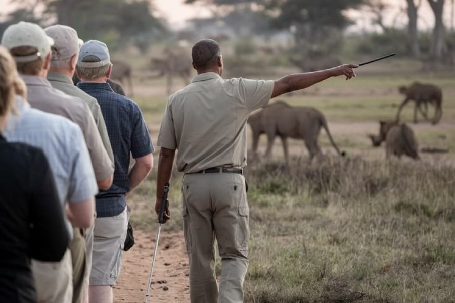 Guided bush walking safari at Kruger national park