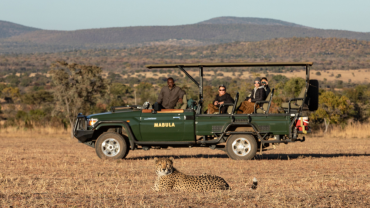 safaris close to Johannesburg