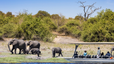 short safaris in Botswana