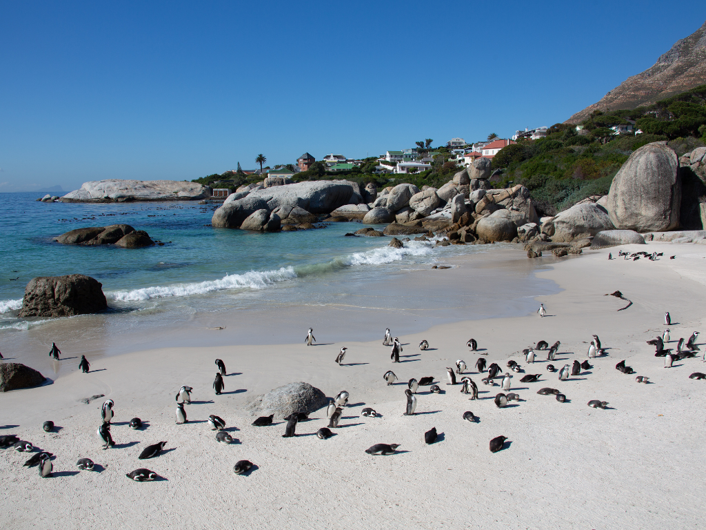 Day 1 - Cape Agulhas Southernmost Point Adventure