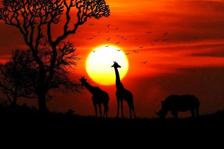 Sunset at Kruger National Park