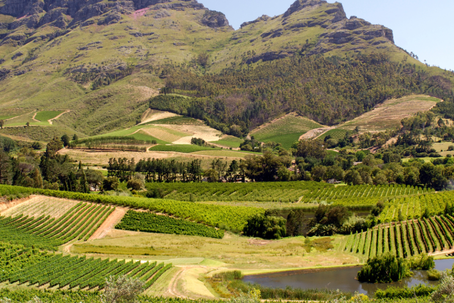 Winelands