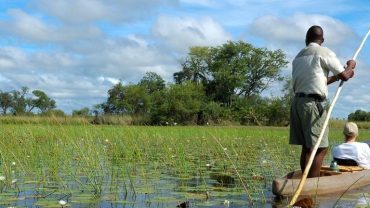 A mokoro boat navigating the shallow waters of the Okavango Delta