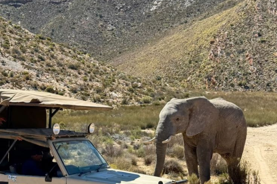 Inverdoorn