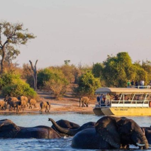 Chobe National Park