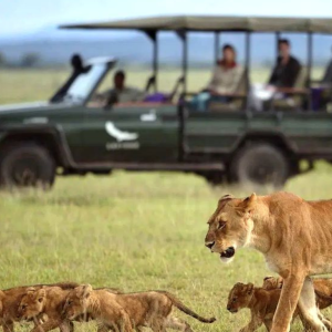 Kruger National Park