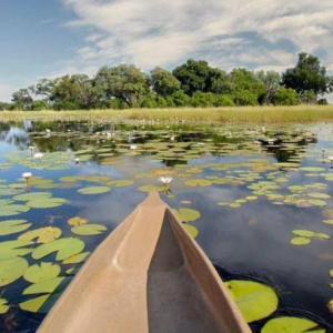 Okavango Delta