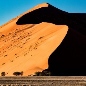 Namib Desert Dunes