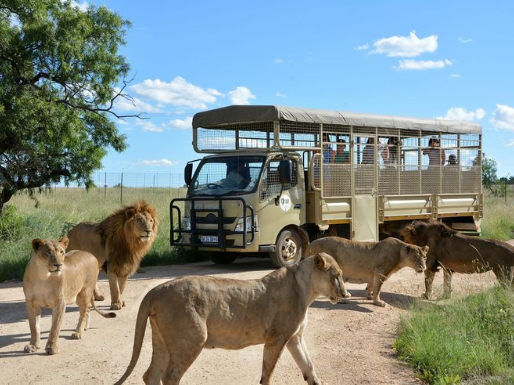 Best Short Safaris