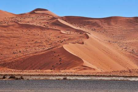beautiful view of the sossusvlei