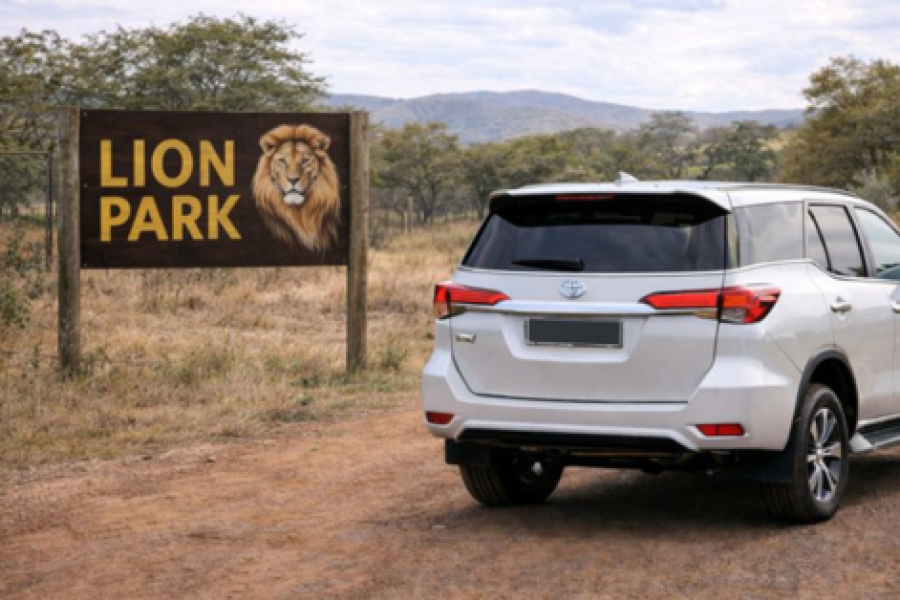 Lion Park Private Transfer