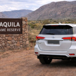 Cape Town to Aquila Private Transfer