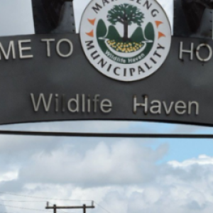 Johannesburg to Hoedspruit Transfer