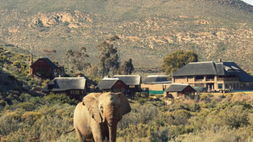 Cape Town to Aquila Transfer