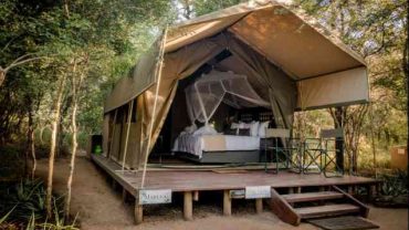 Luxury vs Budget Safaris in South Africa: Understanding the Difference