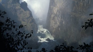 Livingstone Island Tour