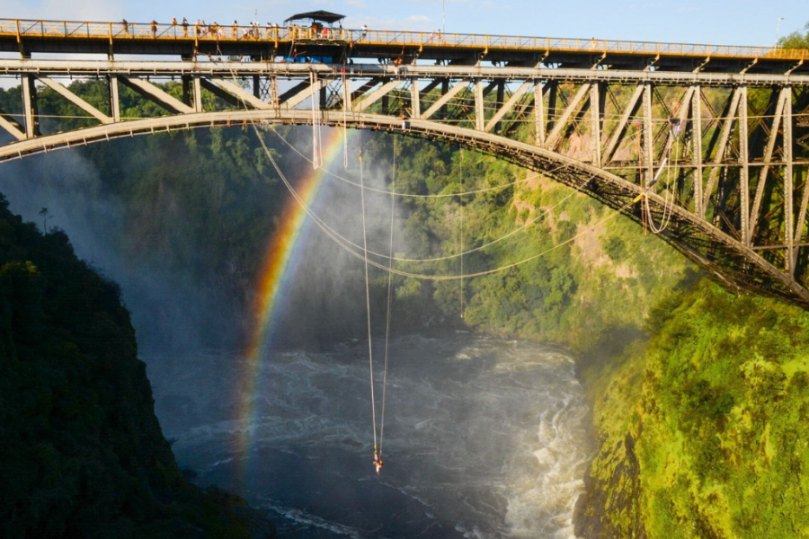 Livingstone Island Tour