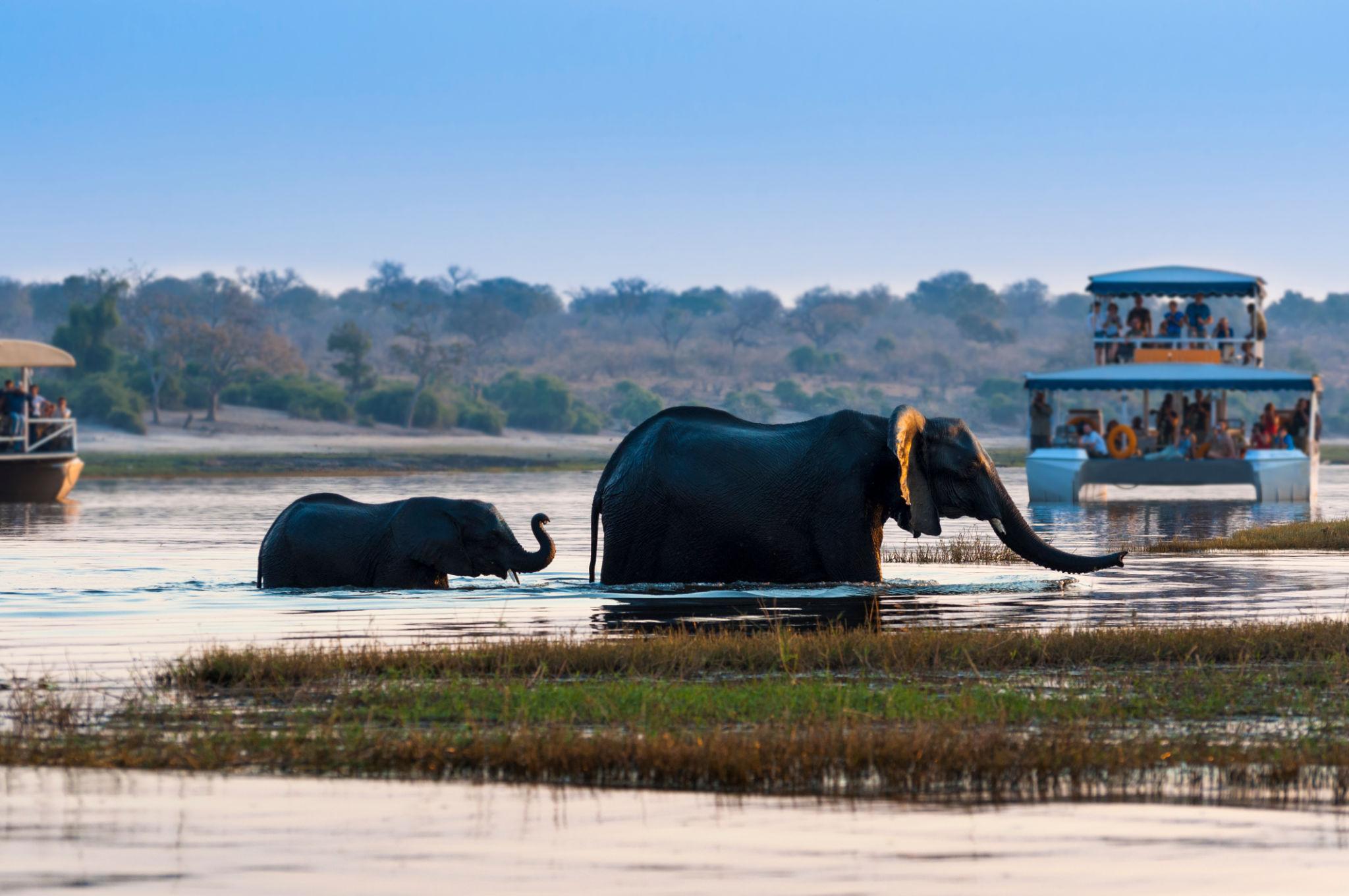 Chobe 