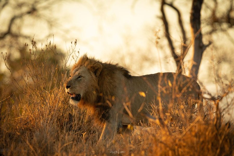 3-Day Safari at Langa Langa