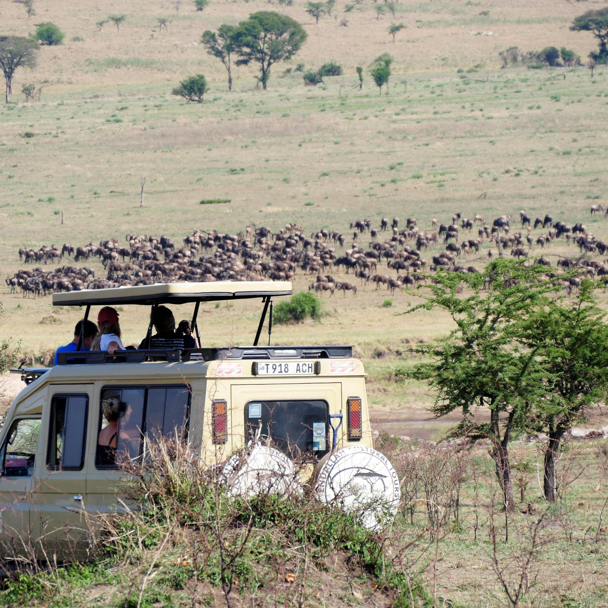 game drive