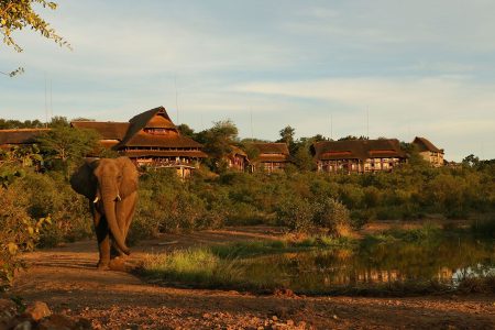 Victoria Falls and Safari Tour
