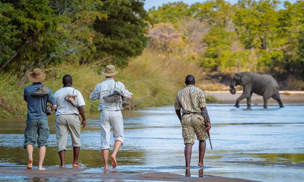 3 Day Okavango Delta Safari