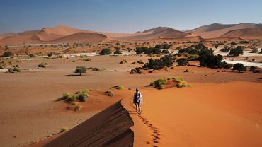 3-Day Desert Safari in Sossusvlei – Budget Friendly
