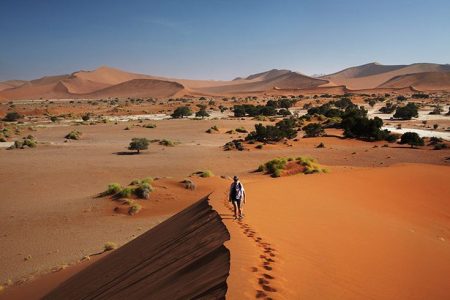 3-Day Desert Safari in Sossusvlei – Budget Friendly