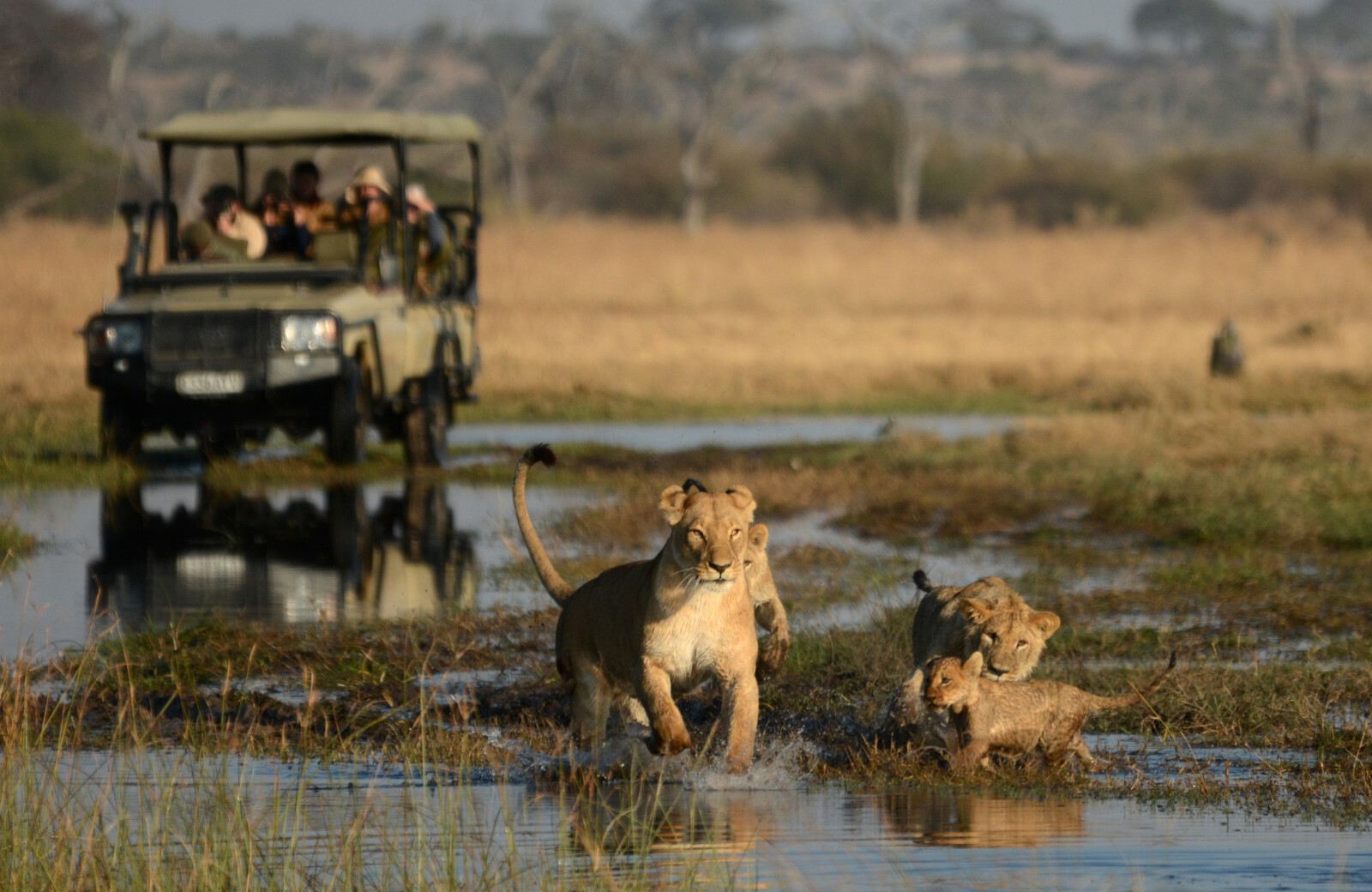 Botswana vs South Africa