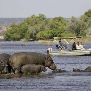 Cost of Victoria Falls + Safari Trip