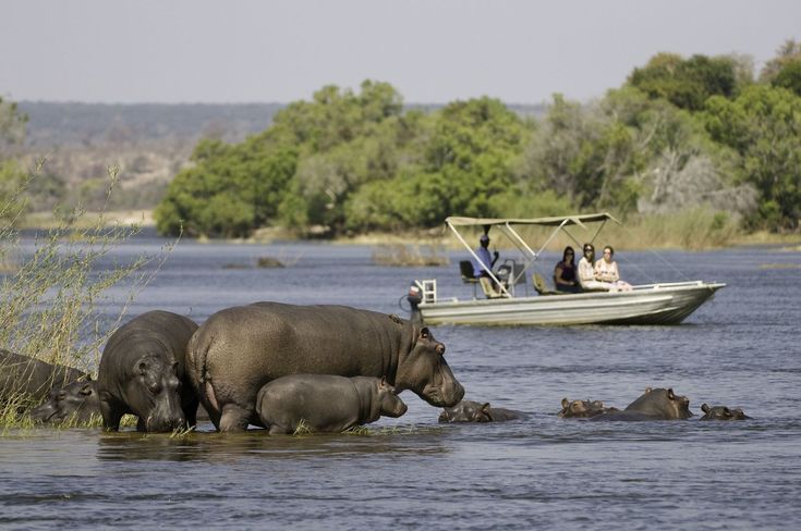 3-Day Wildlife Combo – Victoria Falls & Chobe Safari