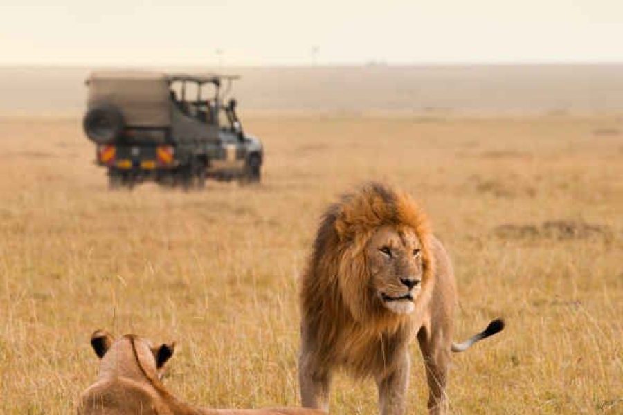 3-Day Kruger Park & Scenic Route