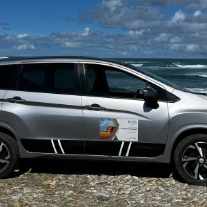Cape Town to Inverdoorn Game Lodge Private Transfer