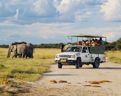 3 Day Etosha Safari