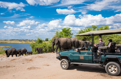 Day trip guide