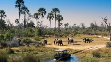 3 Day Okavango Delta Safari