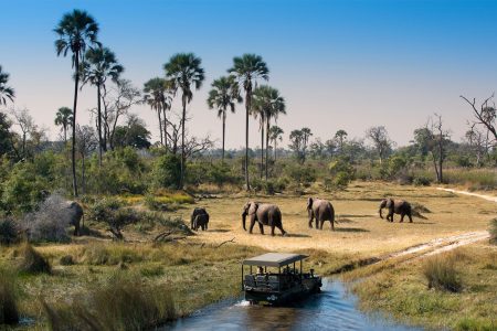 3 Day Okavango Delta Safari