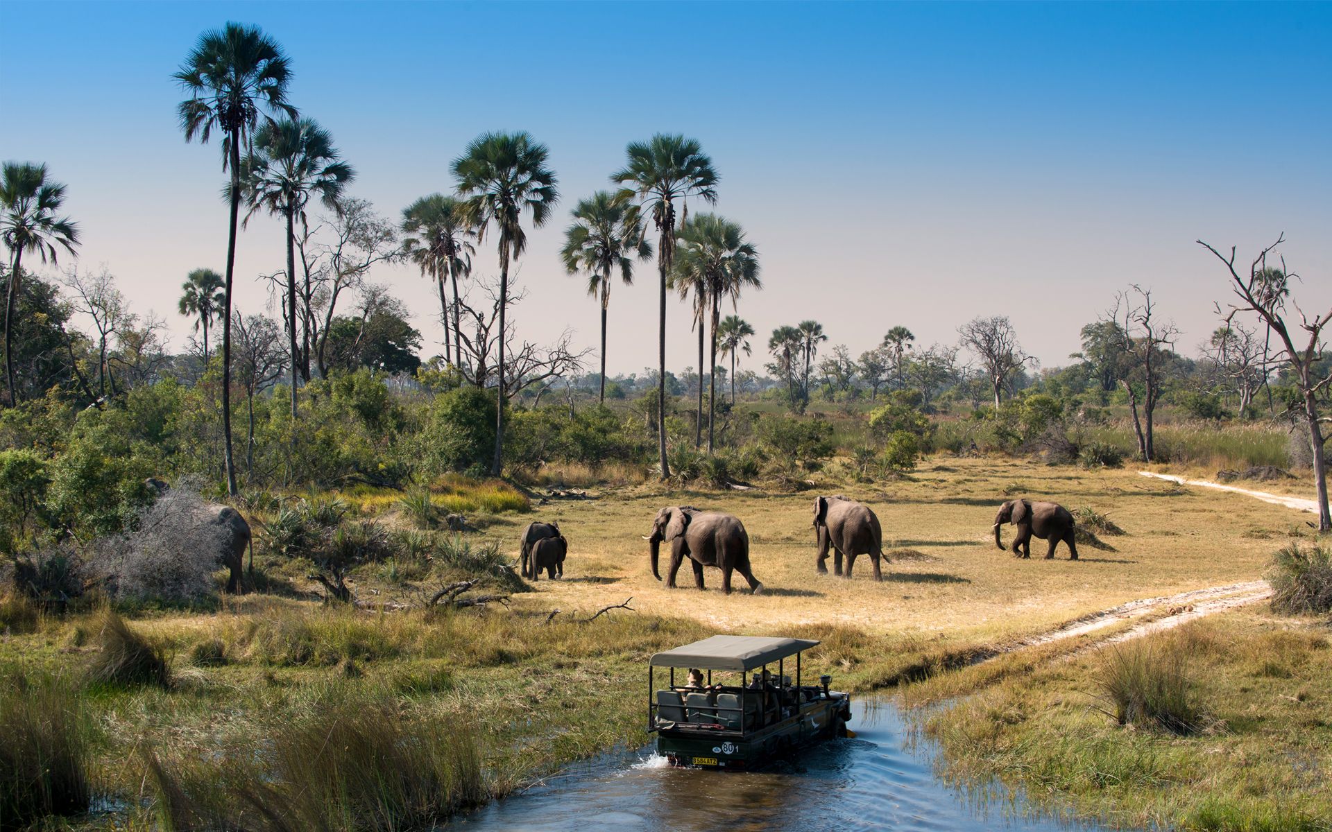 3 Day Okavango Delta Safari