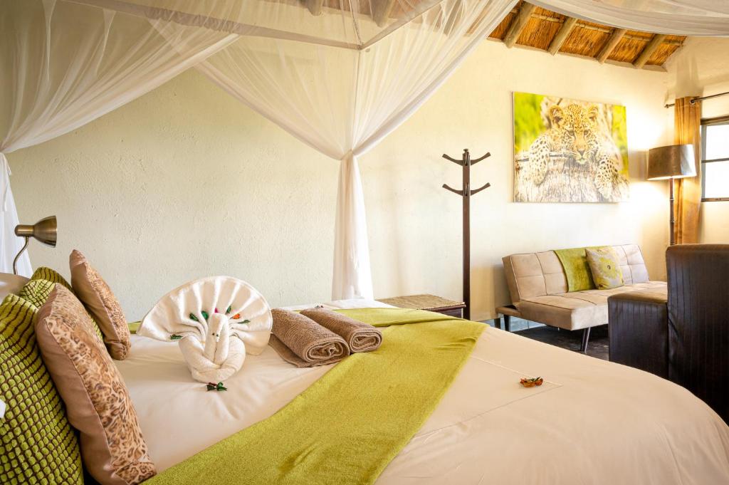 Accommodation