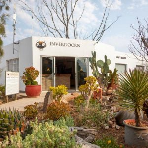 Cape Town to Inverdoorn Game Lodge Private Transfer