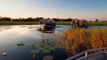 2-Day Okavango Delta Luxury Safari Escape