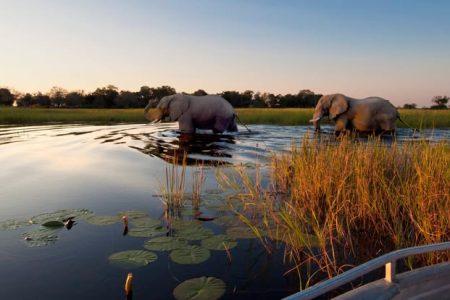 2-Day Okavango Delta Luxury Safari Escape