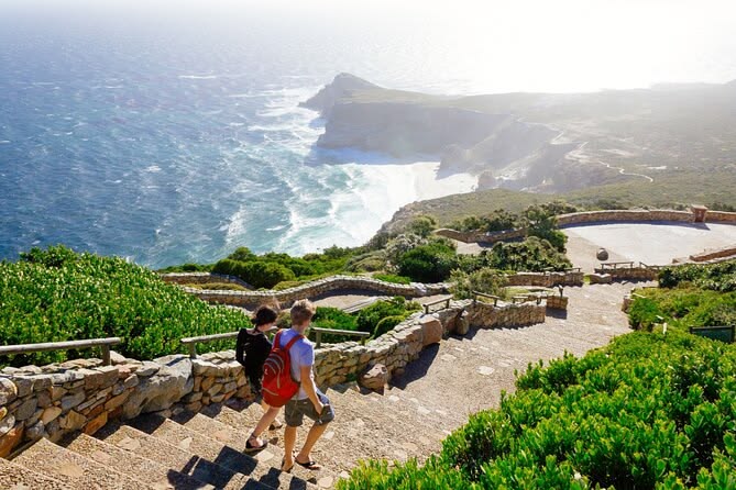 Day 2 -Full-Day Cape Peninsula Tour