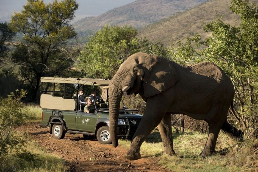 3-day pilanesberg safari