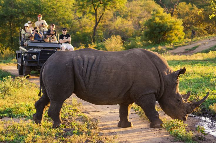 3-Day Kruger Wildlife Luxury Adventure