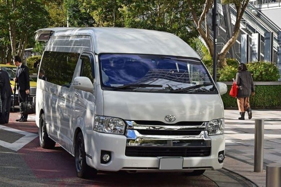 Johannesburg/OR Tambo to Afica on Foot Shuttle