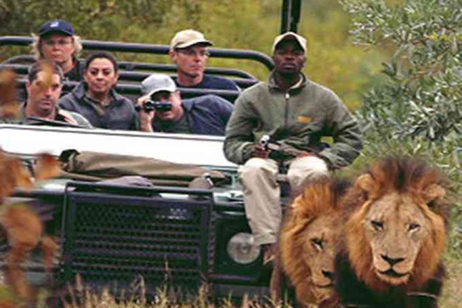 luxury safari