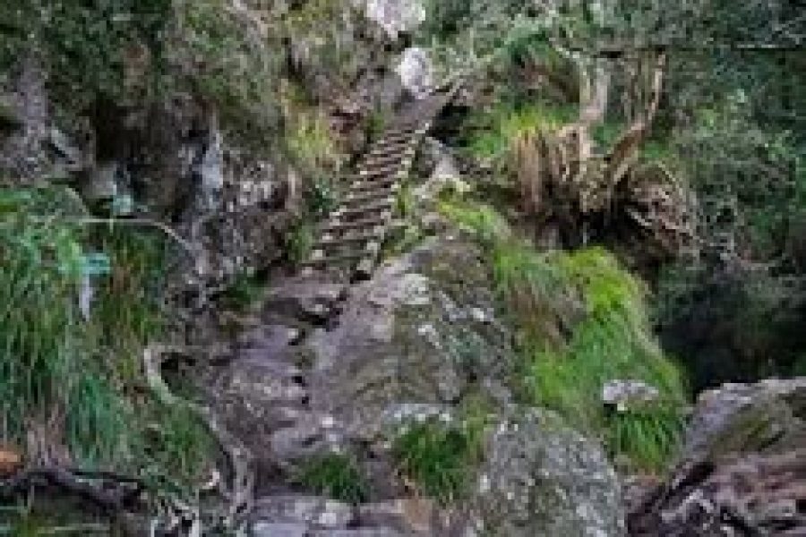 1-Day Skeleton Gorge Guided Morning Hike