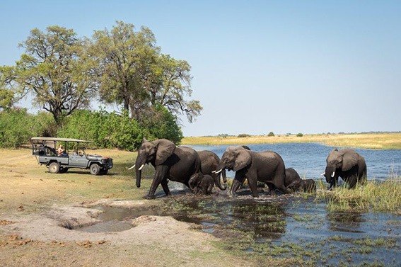 3-Day Wildlife Combo – Victoria Falls & Chobe Safari